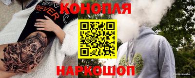 гидра Новодвинск