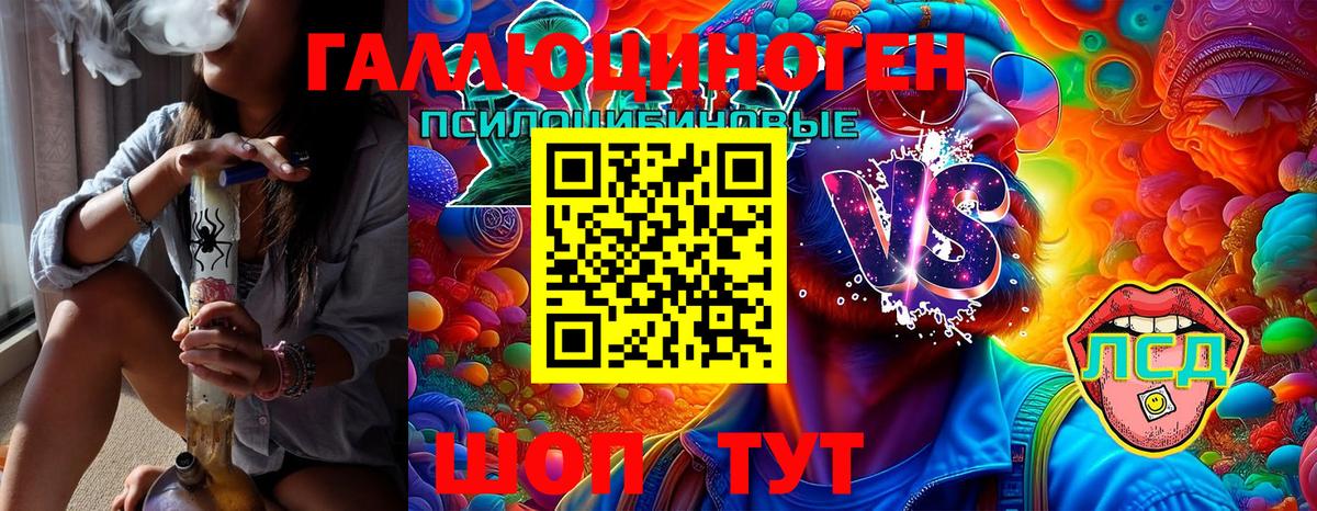 Псилоцибиновые грибы Psilocybe Похвистнево