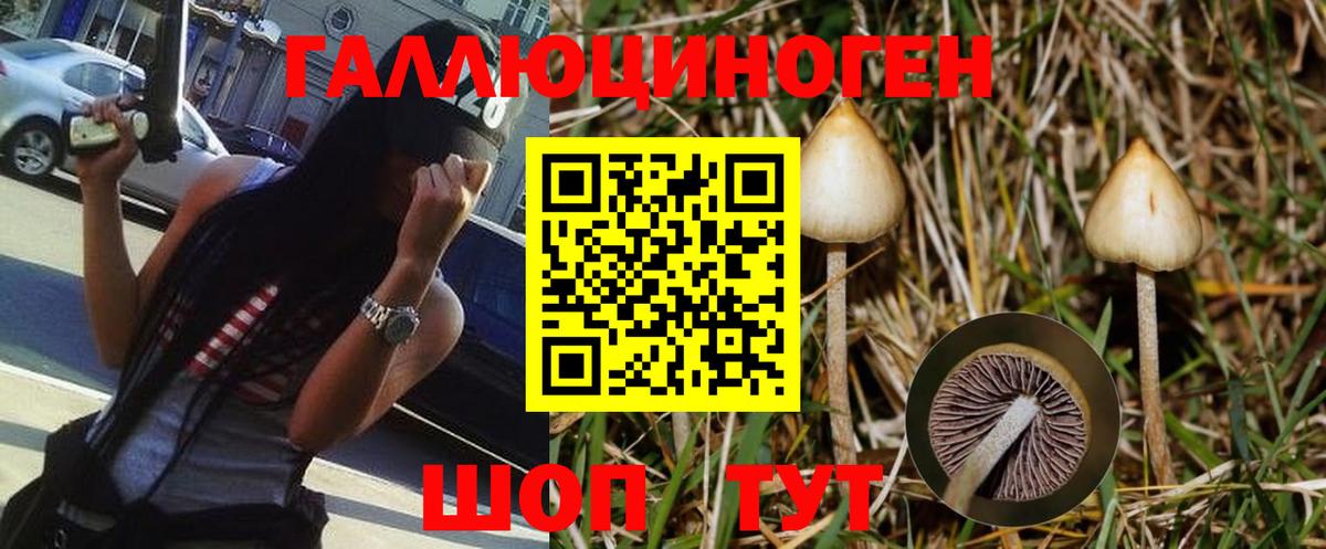 где купить наркоту  Вход с VPN  Псилоцибиновые грибы MAGIC MUSHROOMS  Похвистнево  Псилоцибиновые грибы ЛСД 